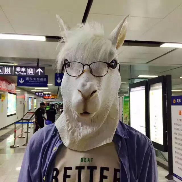 A member wearing an alpaca head, in the metro station.